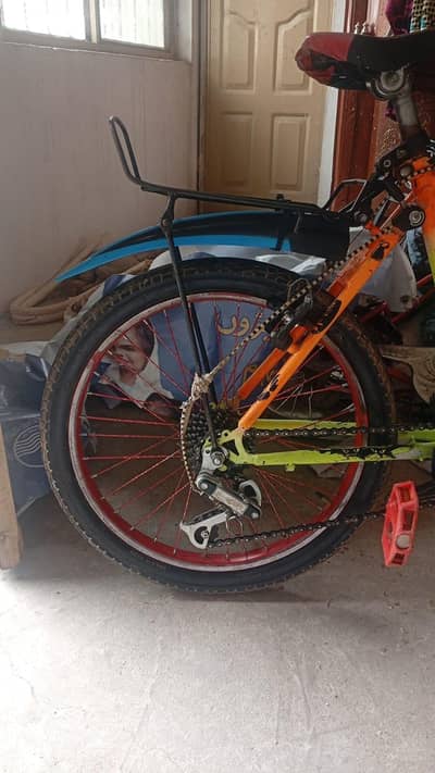 Phoenix Children Bicycle 