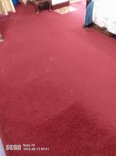 Carpet maroon Colour Good Quality