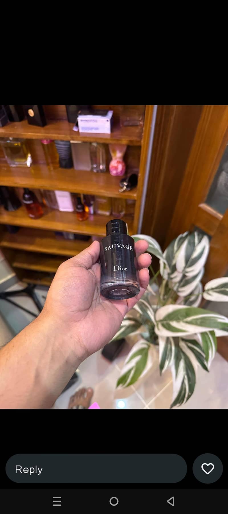 Perfumes 5