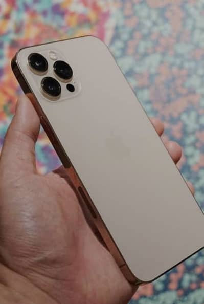 Apple iPhone 12 Pro Max