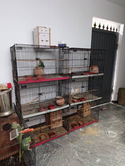 CAGES FOR SALE