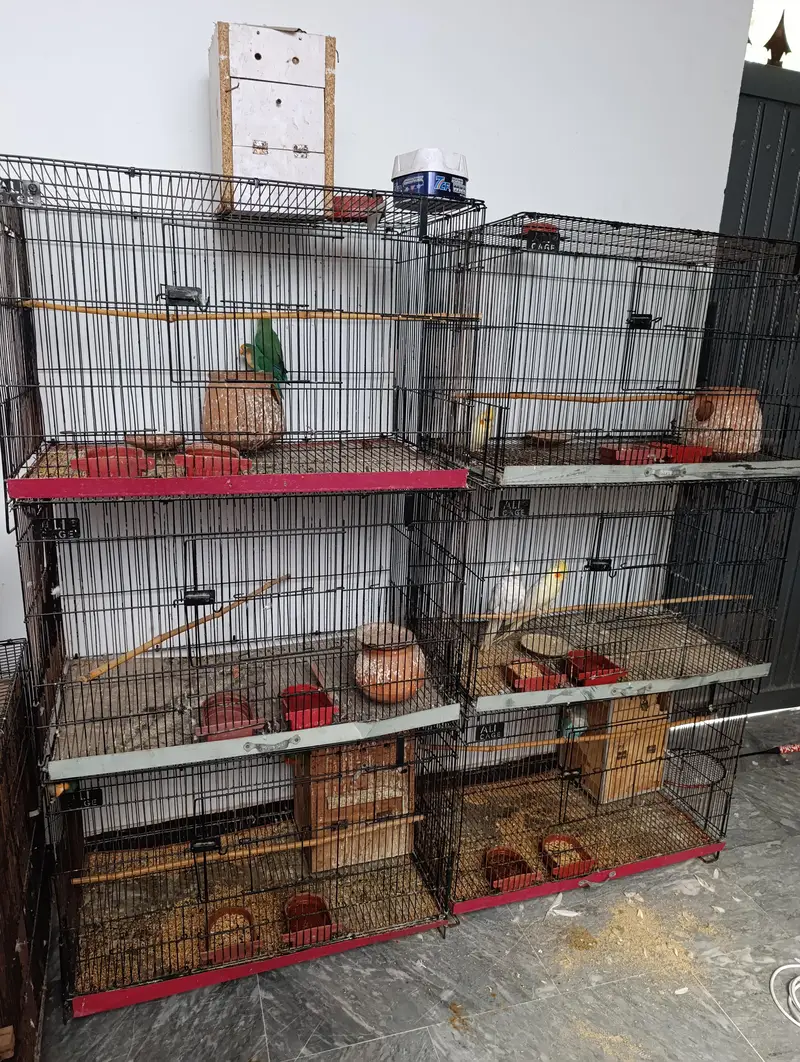 CAGES FOR SALE — photo 2