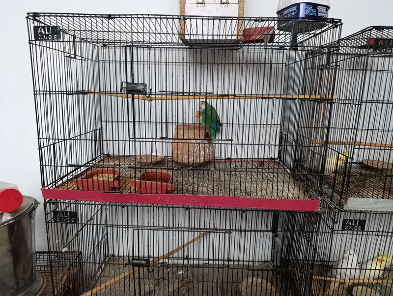 CAGES FOR SALE — photo 3
