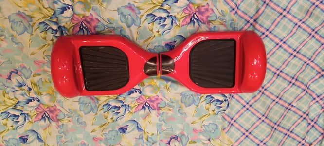 Electric skateboard 