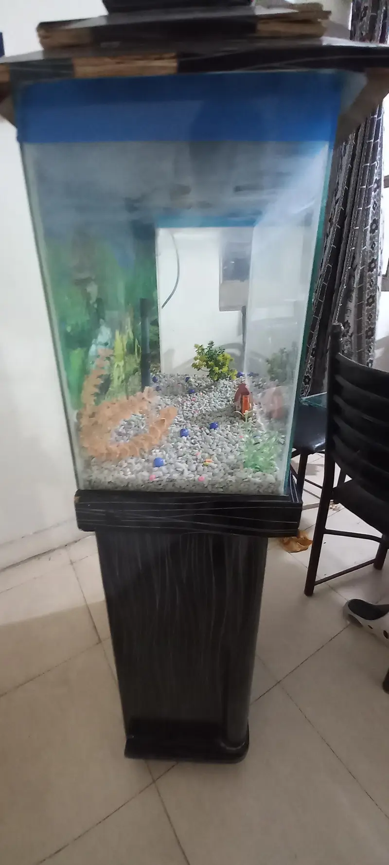 Fish Acqurium with air pump and all accessories — photo 2