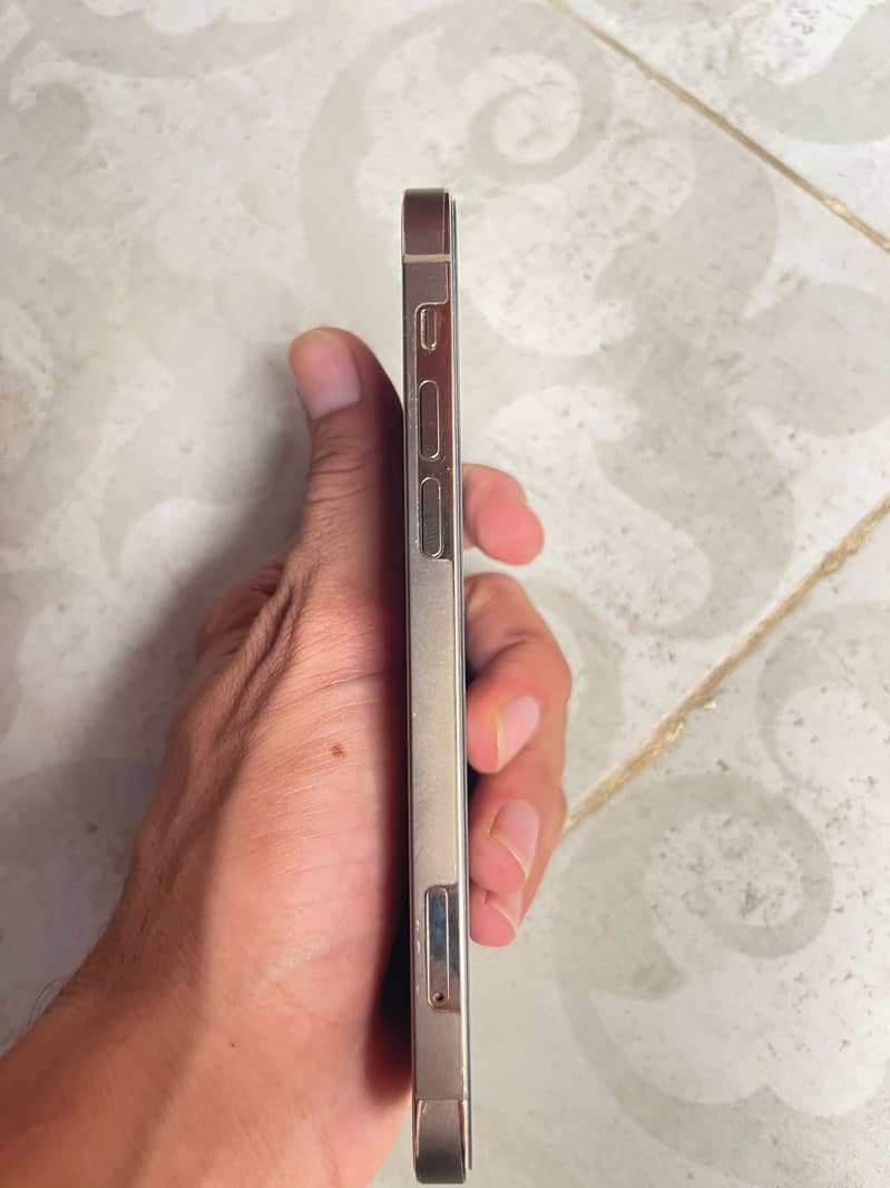 Apple iPhone 12 Pro Max 5