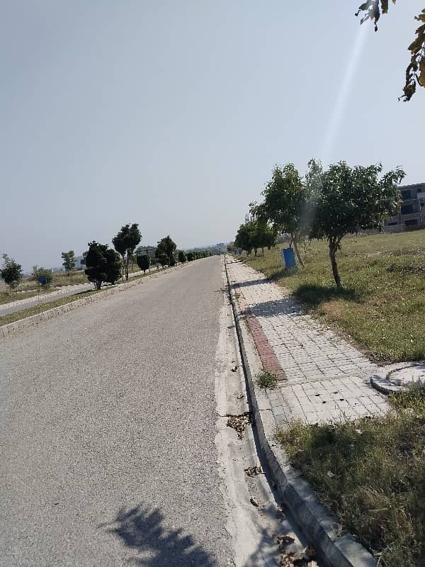 Plot For Sale 6