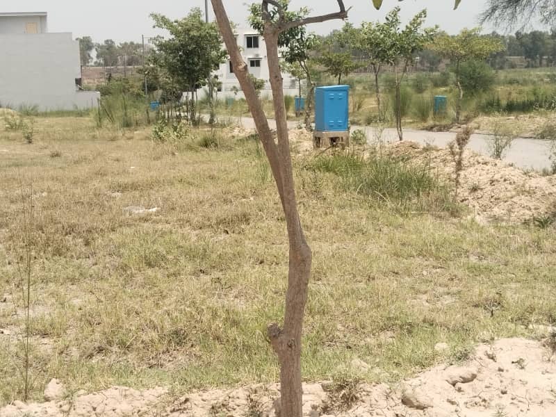 Plot For Sale 2