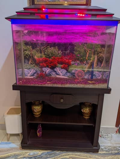 Exerciser for belly and aquarium