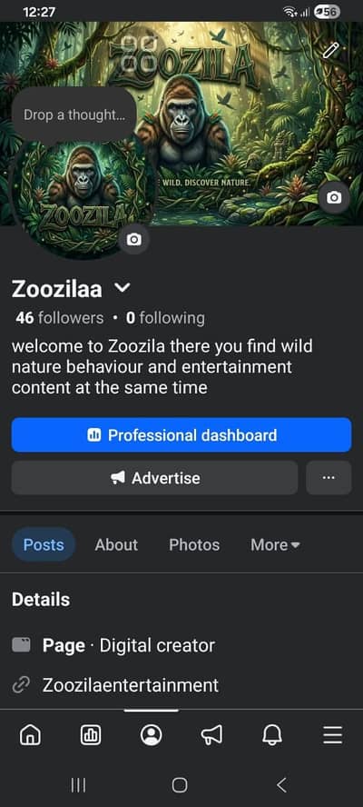 Facebook AI Wildlife page for sale price :15k negotiable