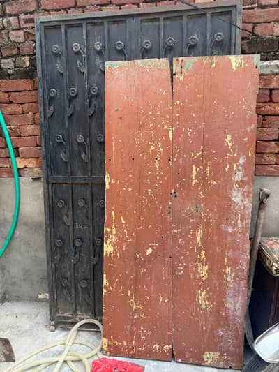 Iron Gate & Wooden Door Set