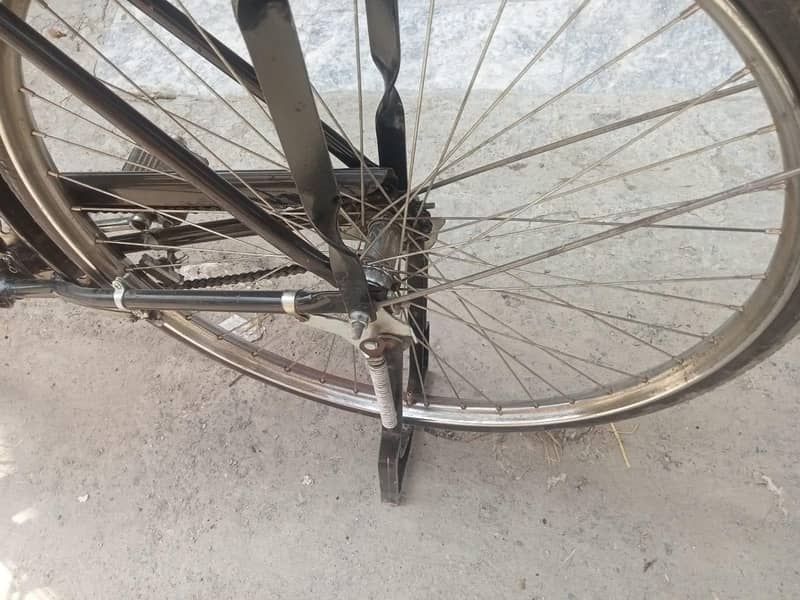 ,, baba cycle.     03280398599 4