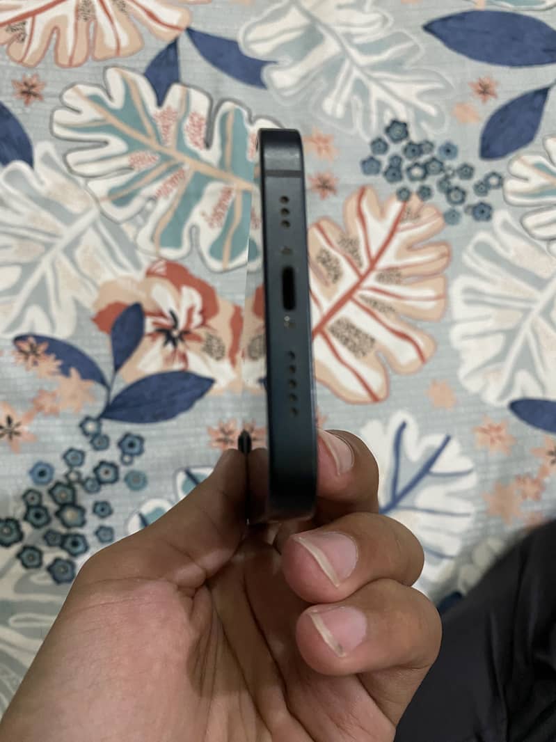 Apple iPhone 13 12