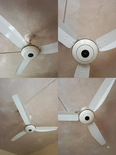 Royal Fan phanka for sale total 3 fans