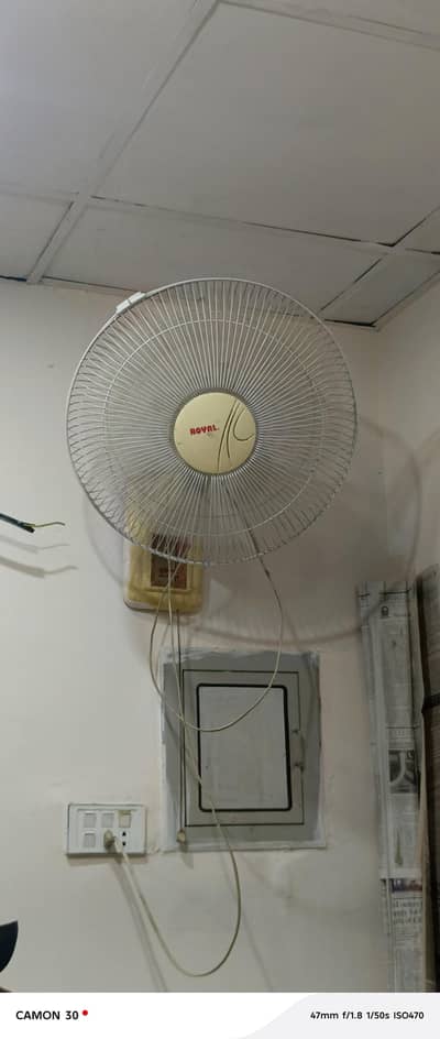 Royal bracket Fan
