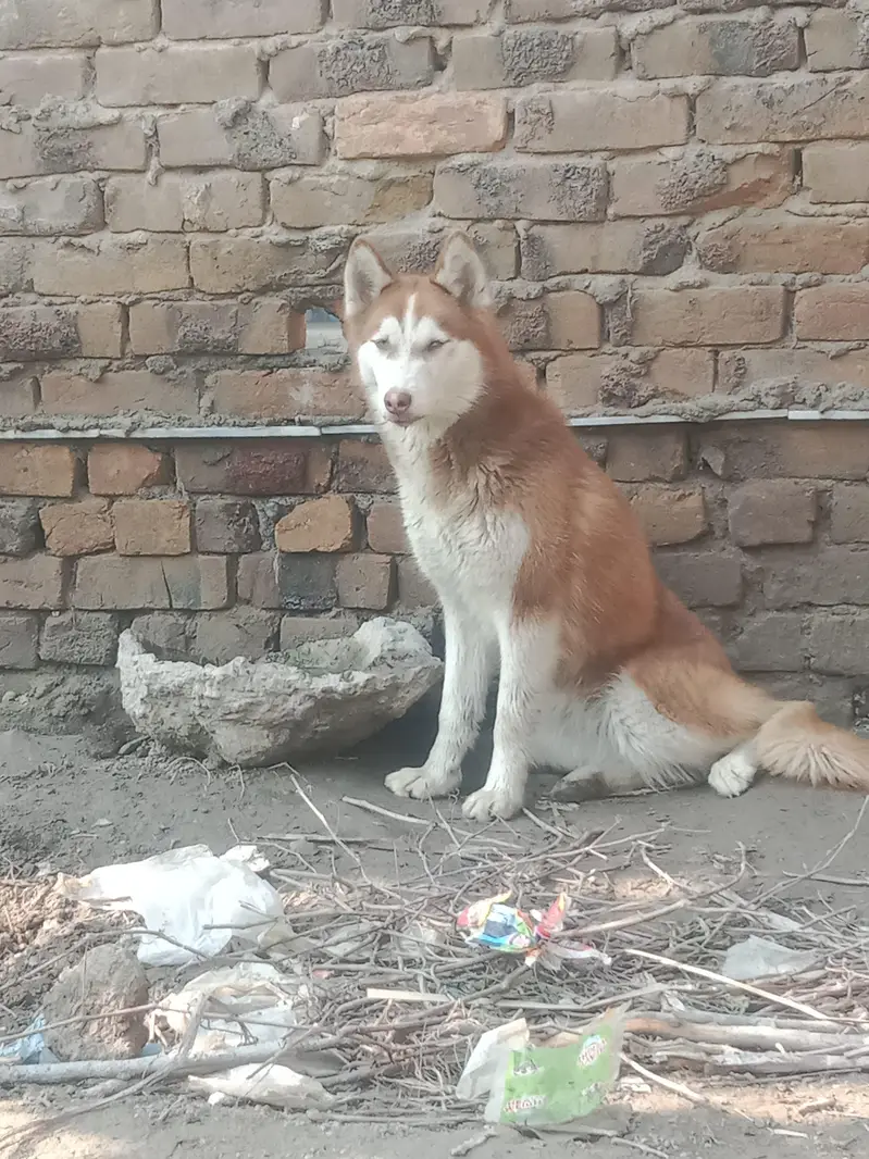 bohot energetic ha — photo 2