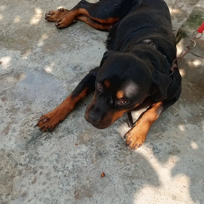 Serous customers rabta karen — photo 2