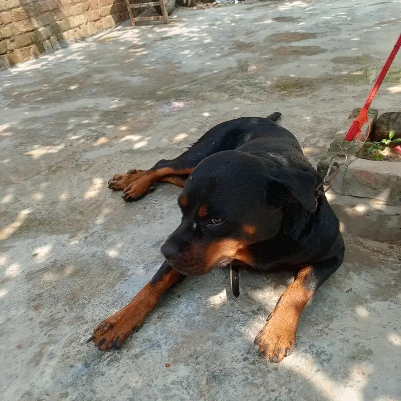 Serous customers rabta karen — photo 3