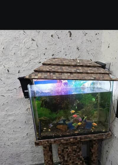 Aquarium for sale