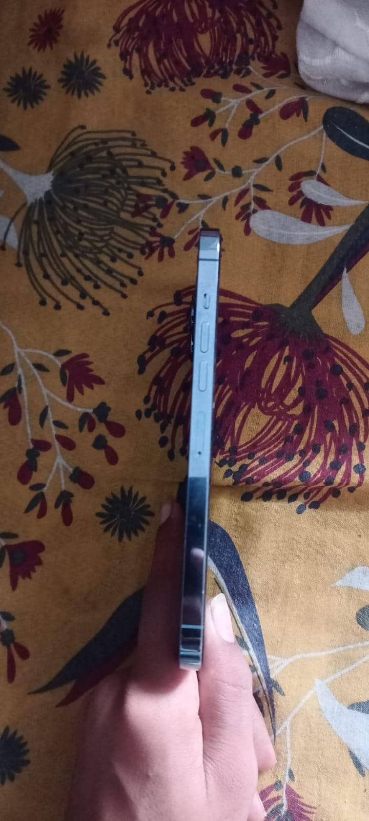 Apple iPhone 13 Pro Max 4