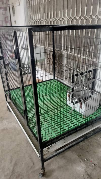 Animal Shelter House for pets goats sheeep