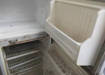 Philips  whirlpool freeg