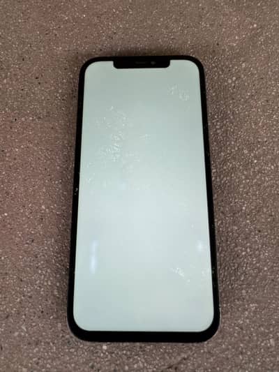 Iphone 12 pro max panel