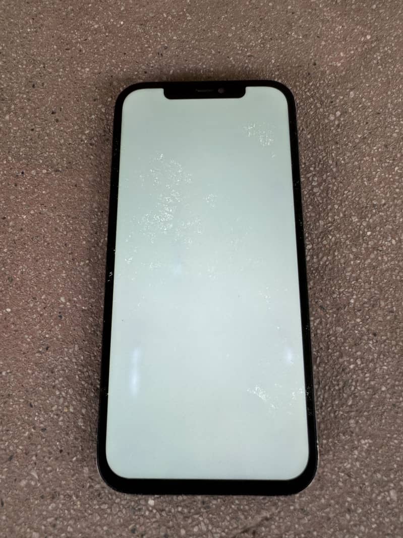 Iphone 12 pro max panel 0