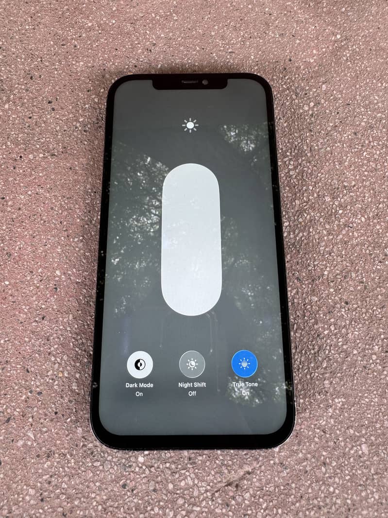 Iphone 12 pro max panel 1