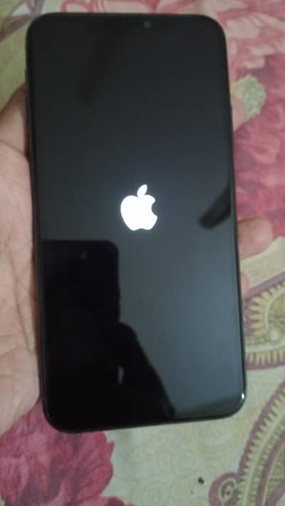 Apple iPhone 11 Pro Max