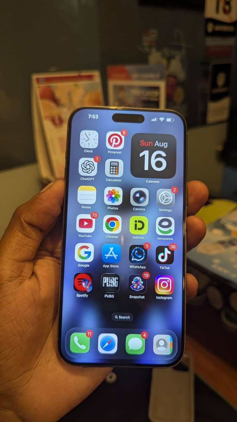 Apple iPhone 15 Pro Max 1