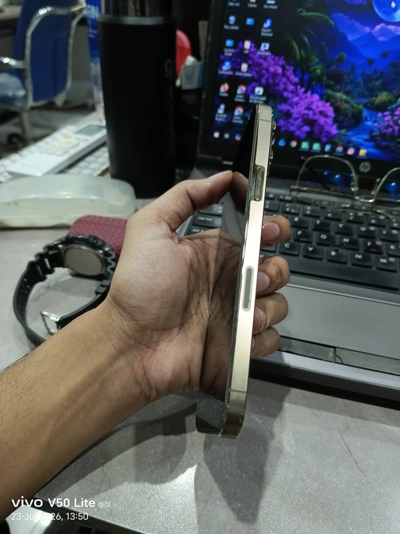 Apple iPhone 13 Pro Max 2