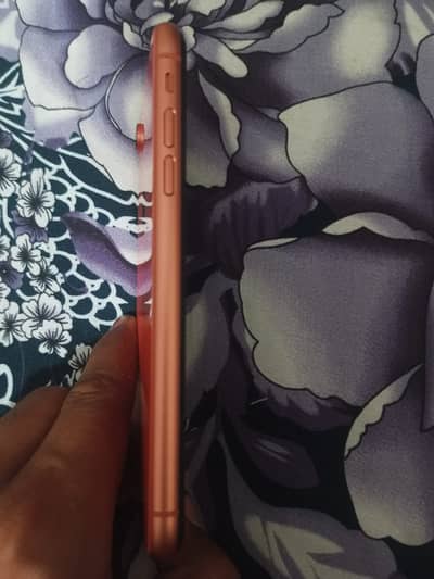 Apple iPhone XR