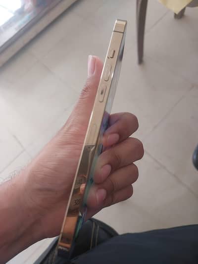 Apple iPhone 12 Pro Max FU Just back damage with box