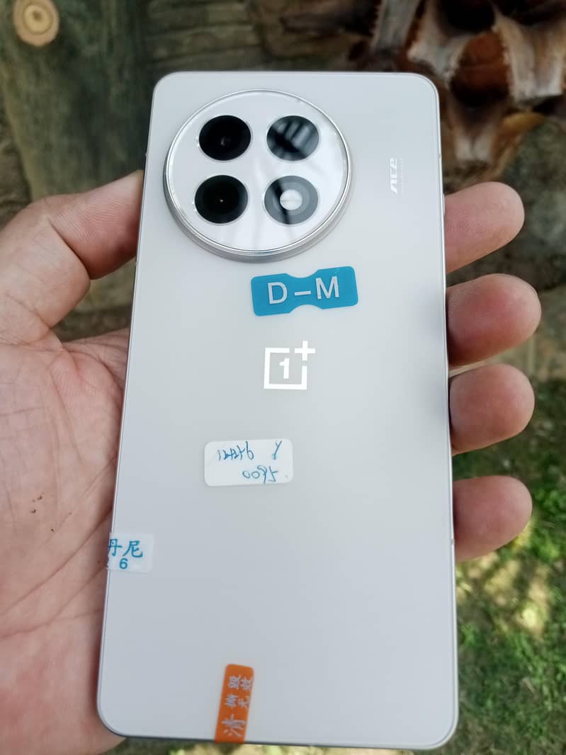 One Plus 13R 4