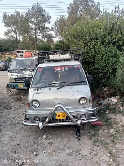 Shahzore for sale