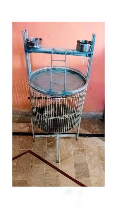 Ring neck raw Cage for sale
