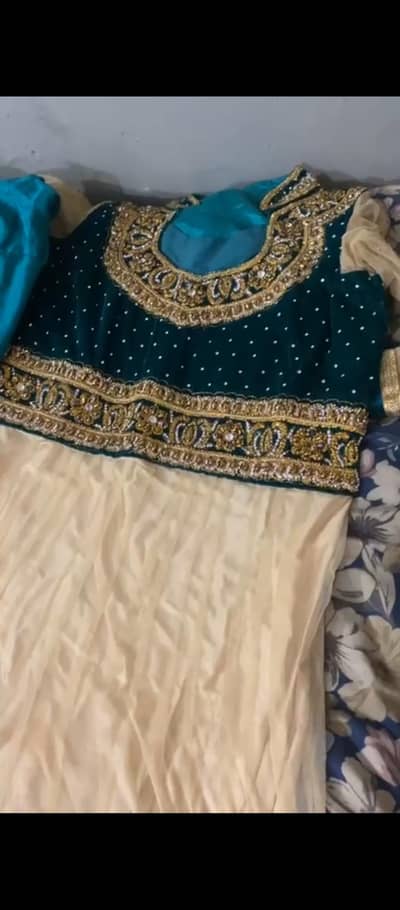 embroidery dress