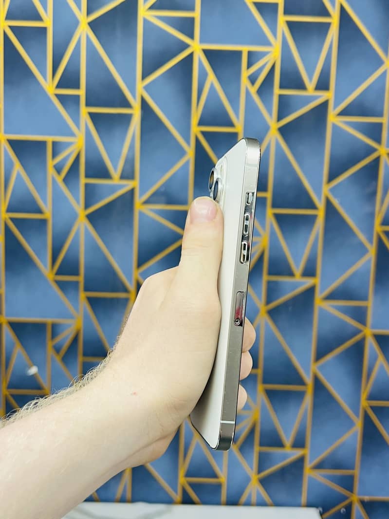 Apple iPhone 12 Pro Max 1
