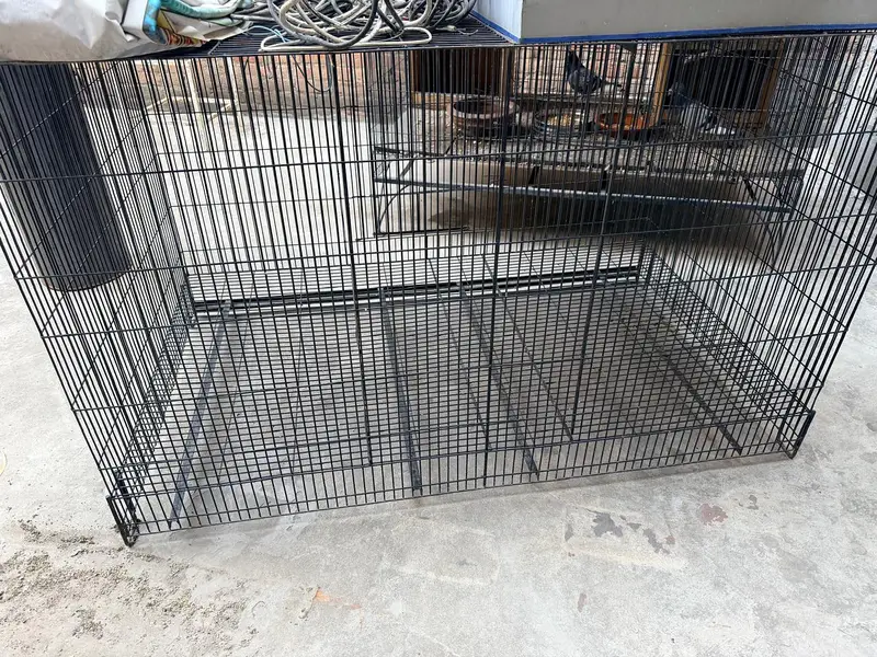 Bird Cages for Sale in Pakistan | Heavy Duty Metal Pigeon Cages — photo 2