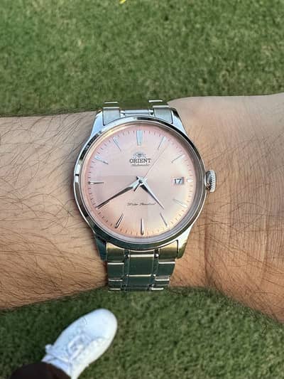Orient Bambino v7 Pink Dial