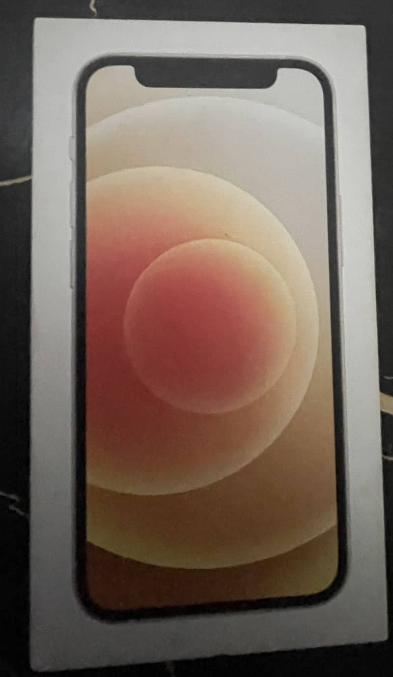 Apple iPhone 12 mini 1