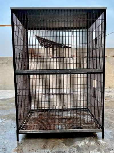 Iron Cage and Breeding boxes