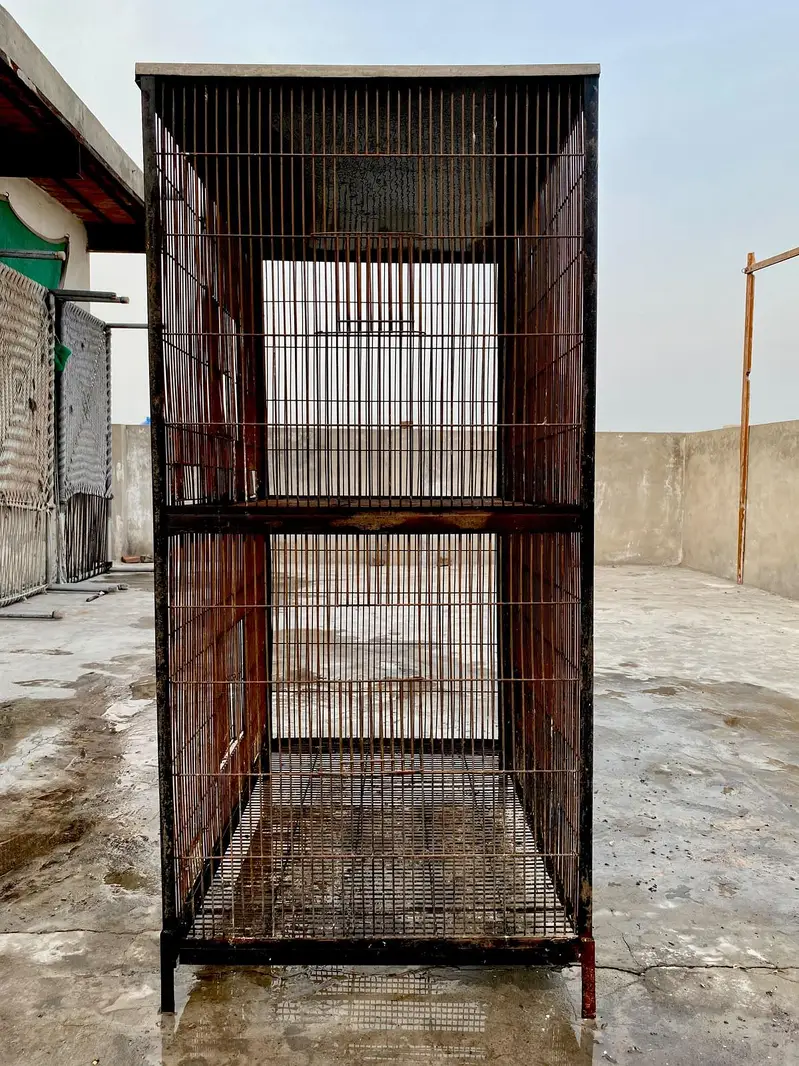 Iron Cage and Breeding boxes — photo 2