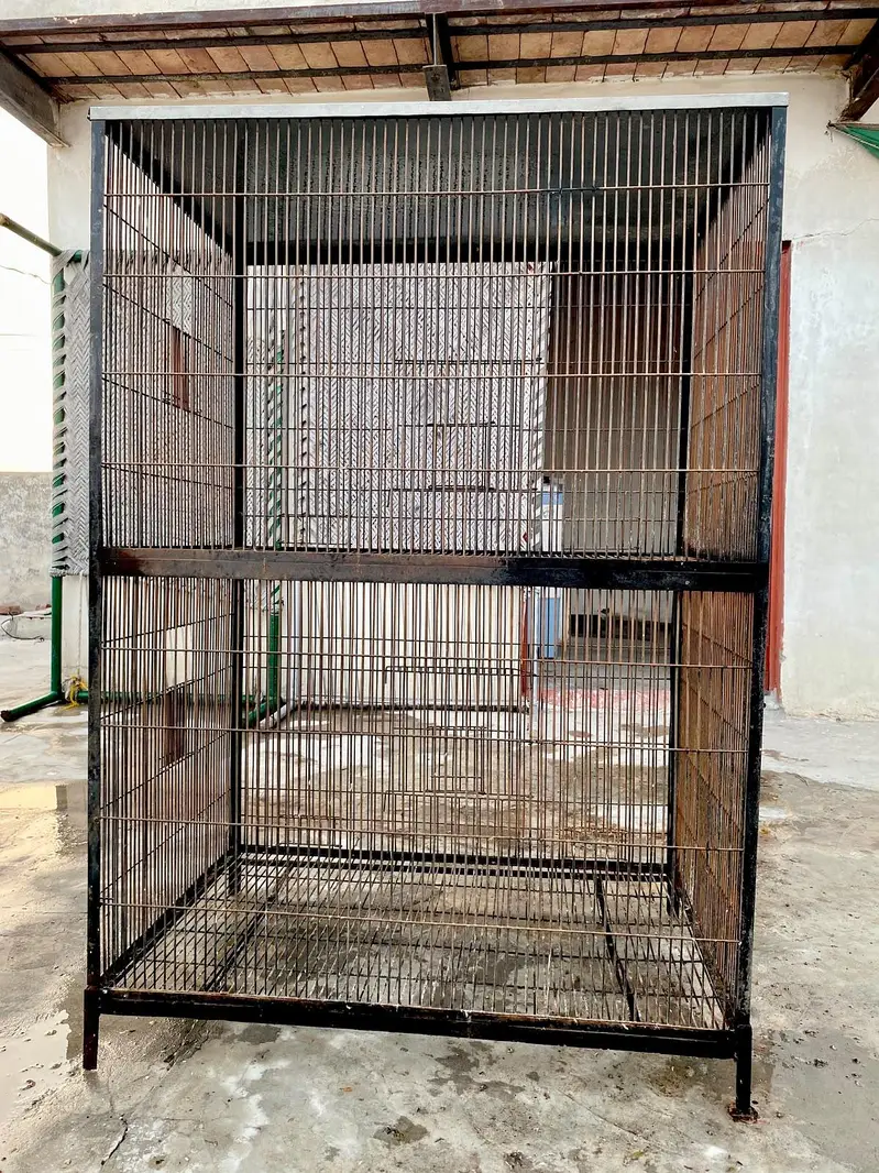 Iron Cage and Breeding boxes — photo 3