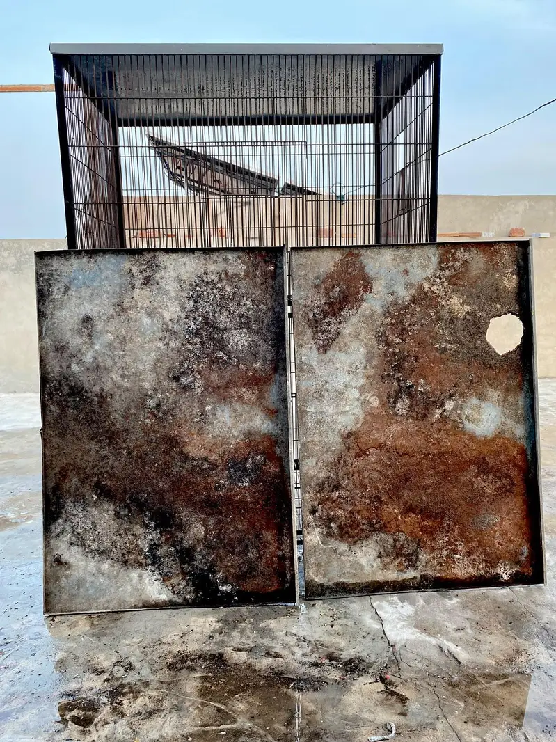 Iron Cage and Breeding boxes — photo 5