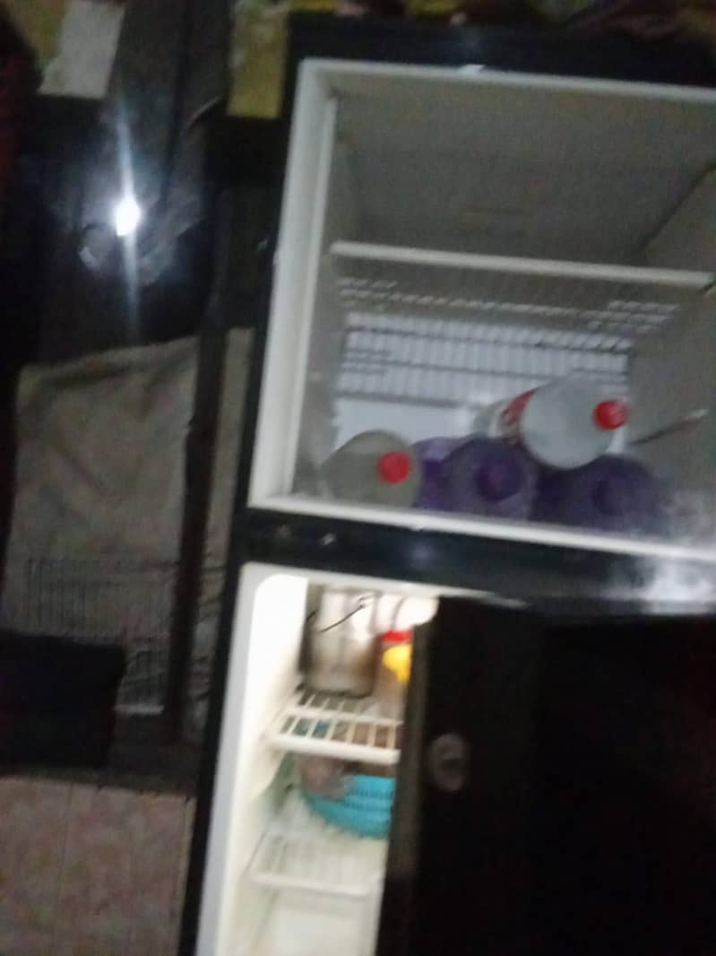 pel fridge 1
