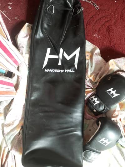 boxing bag with gloves for sale