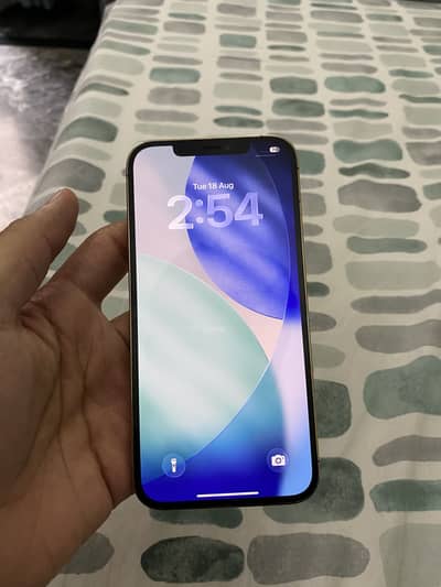iPhone 12 Pro Max Dual Pta