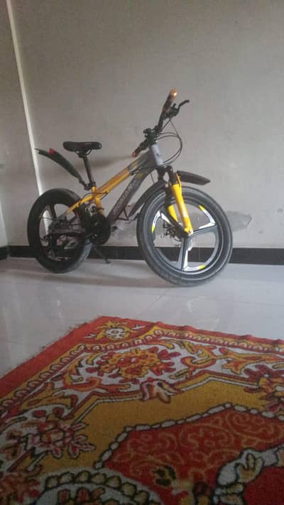 New cycle 1 month used